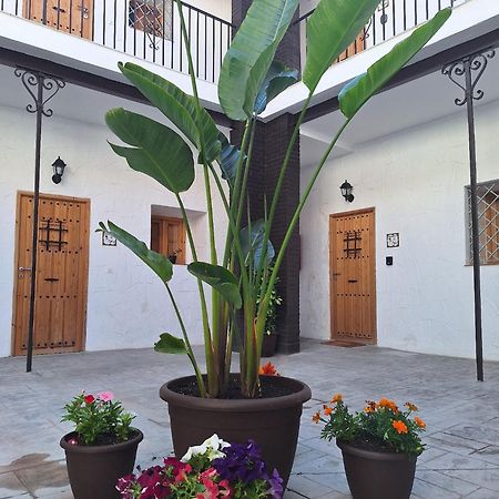 Suite San Mateos 15 جيريز المظهر الخارجي الصورة