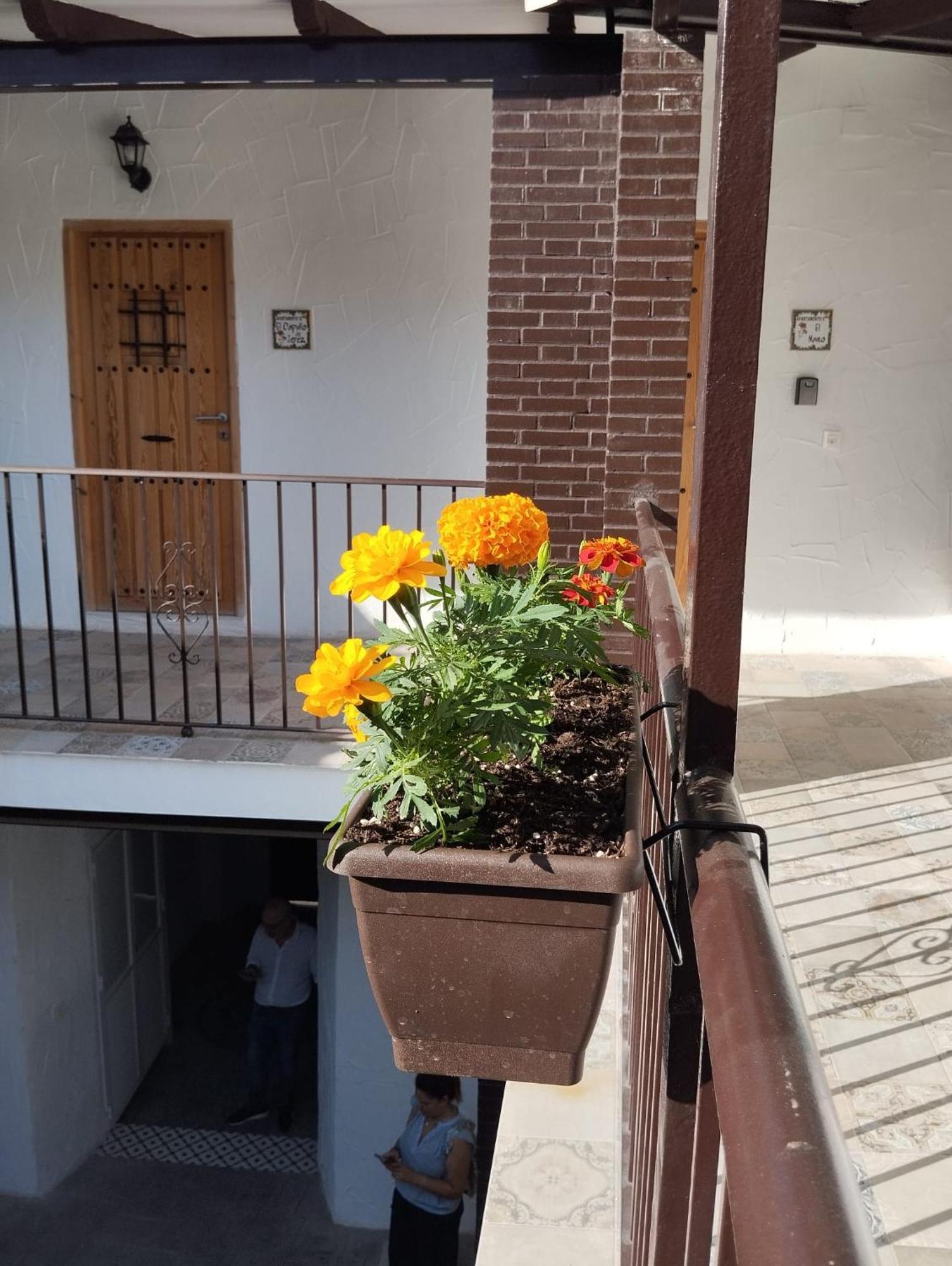 Suite San Mateos 15 جيريز المظهر الخارجي الصورة