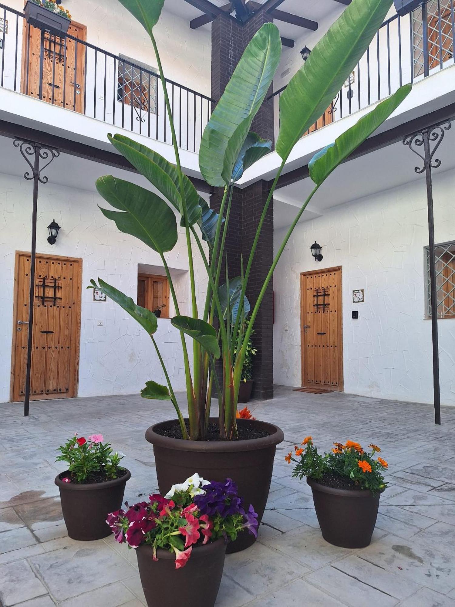 Suite San Mateos 15 جيريز المظهر الخارجي الصورة